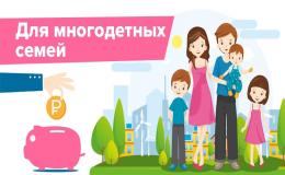 Льготный проезд для многодетных семей